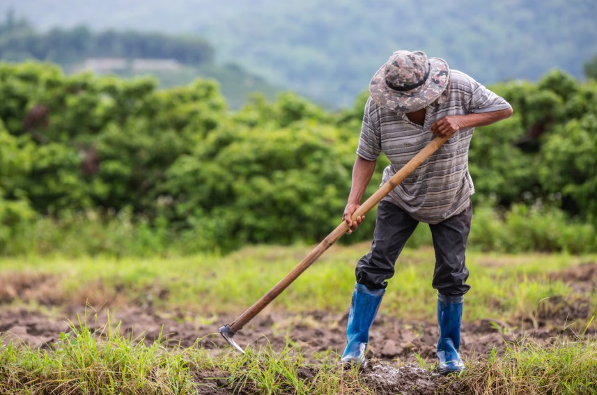 agricultura afectada como consecuencia del calentamiento global